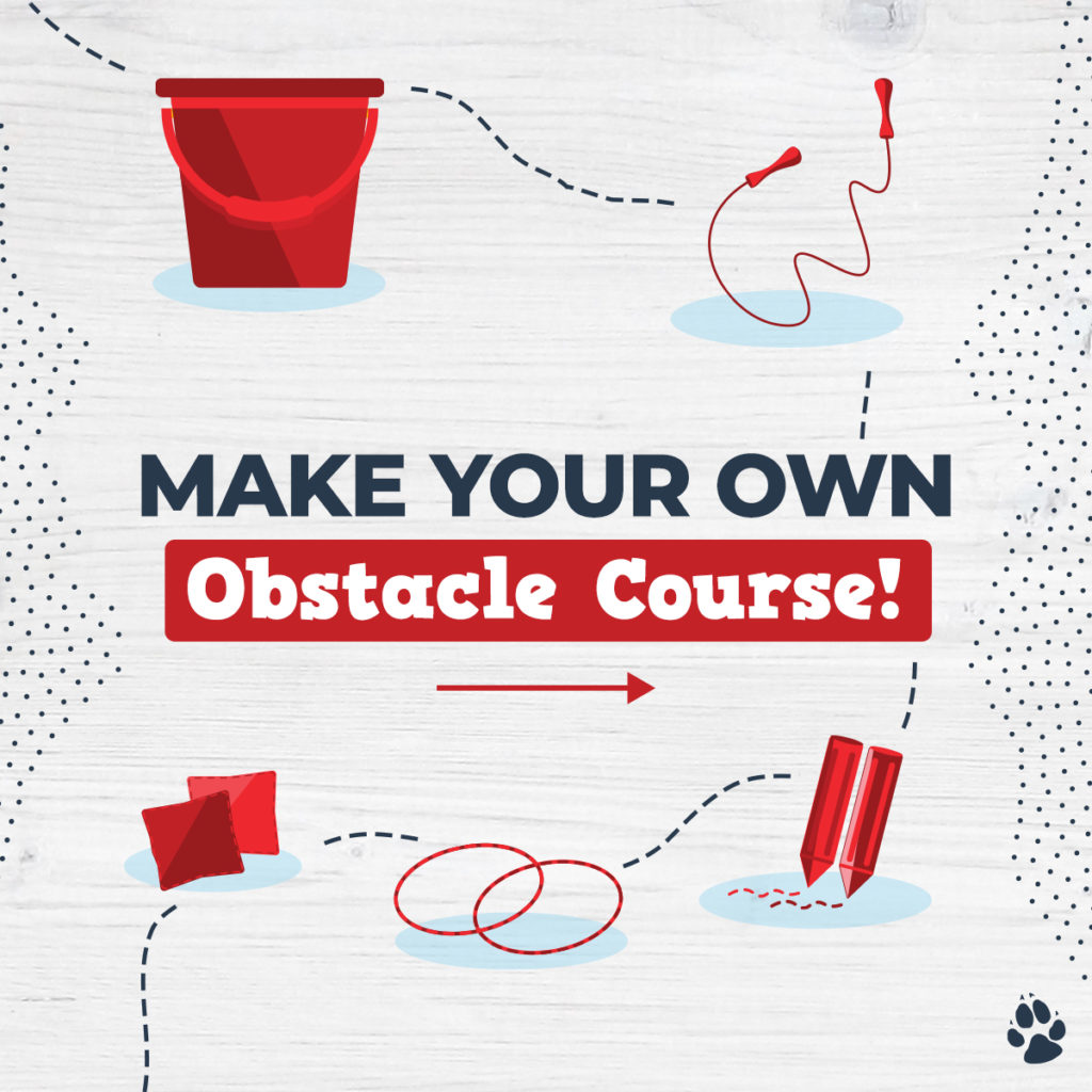 diy obstacle course - Enjoy This DIY Obstacle Course for Kids!